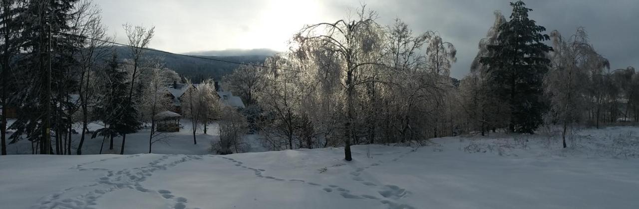 Chwila Moment - Dom W Okolicy Czarnej Gory, Nad Rzeka Villa Stronie Śląskie Buitenkant foto